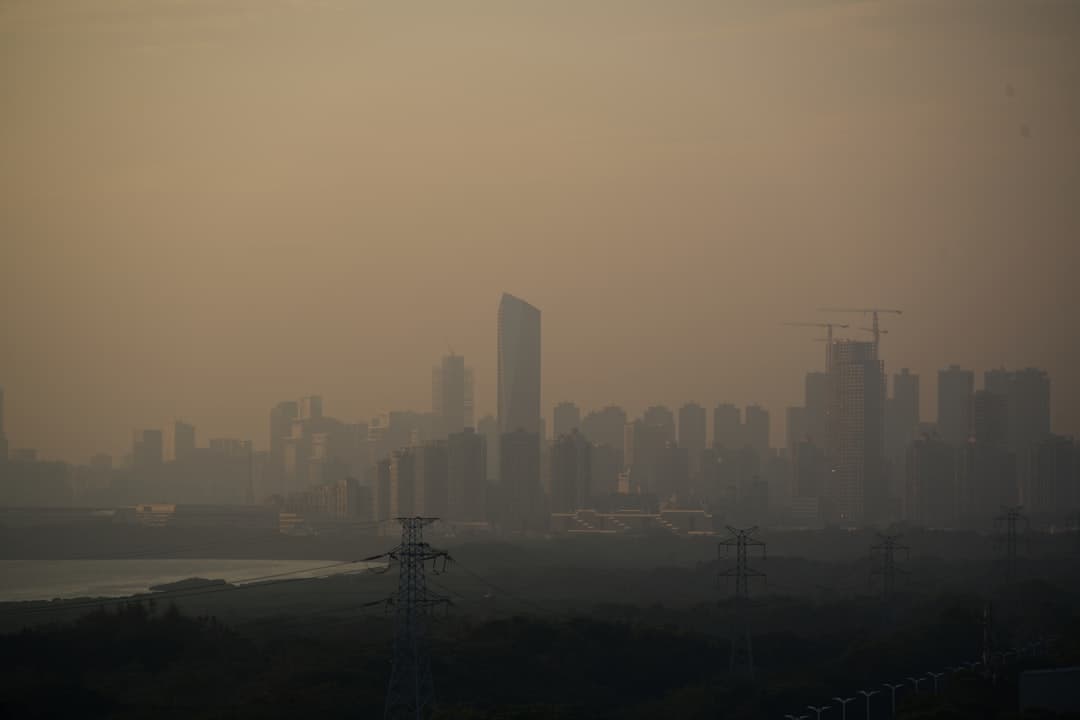 Effects of Air Pollution on Health and the Environment