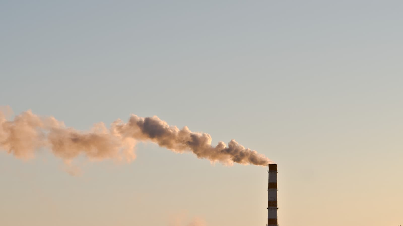 Nitric Oxide Monitoring: Why Measuring NO Matters Alongside NO2