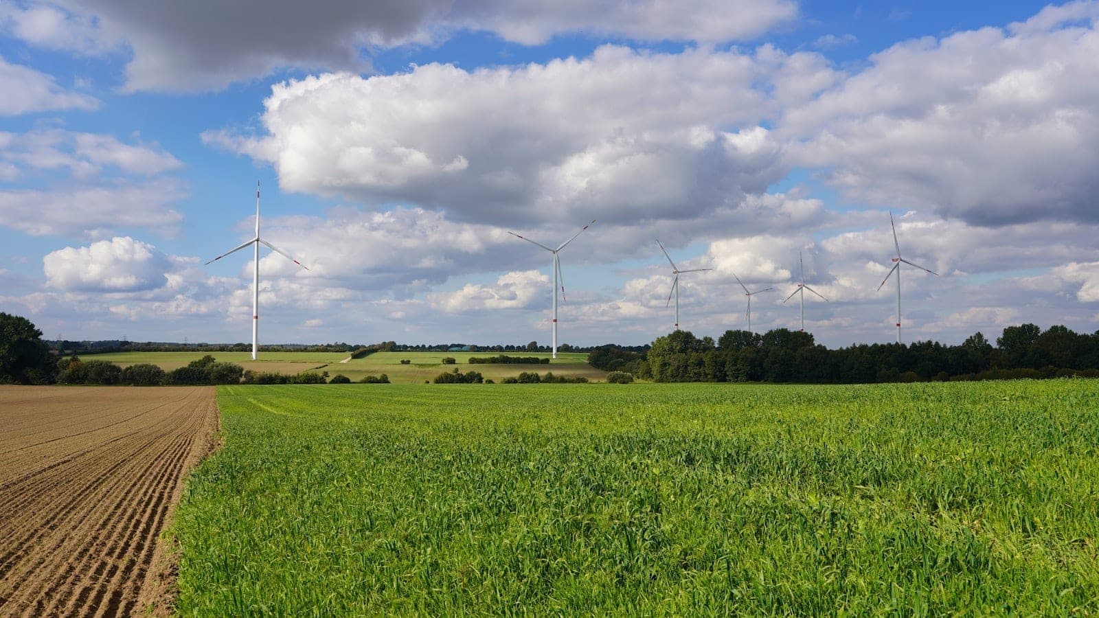 Wind Speed and Direction Monitoring: Why It Matters for Dust Management and Air Quality